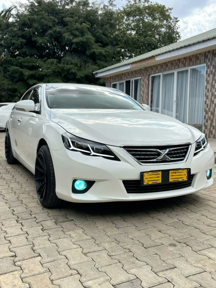 2019 model mark x